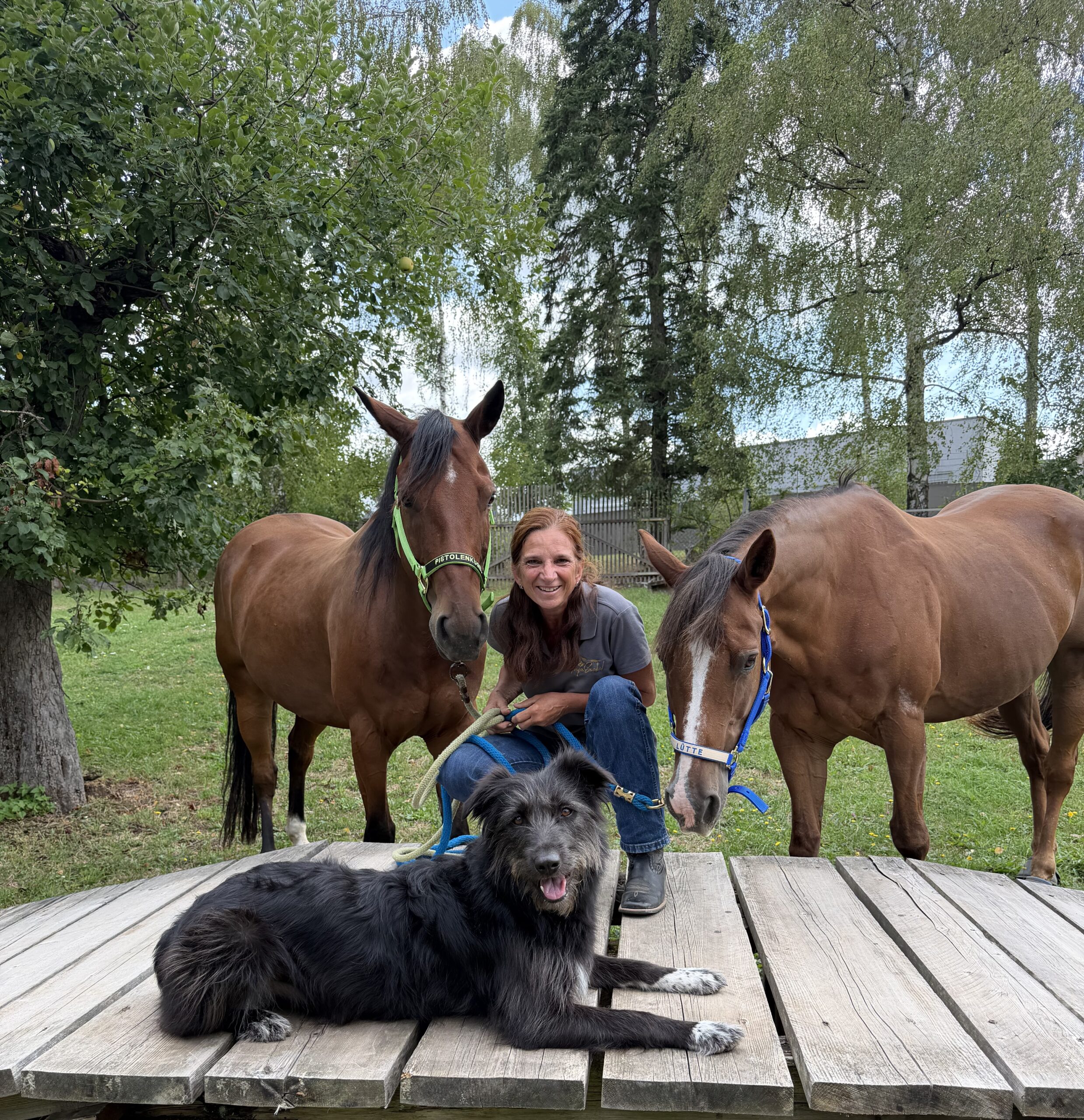 Vorstellung Home